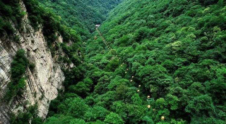 阿凯历险记